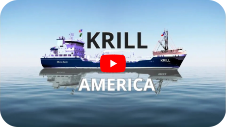 Watch the book trailer for Krill America...